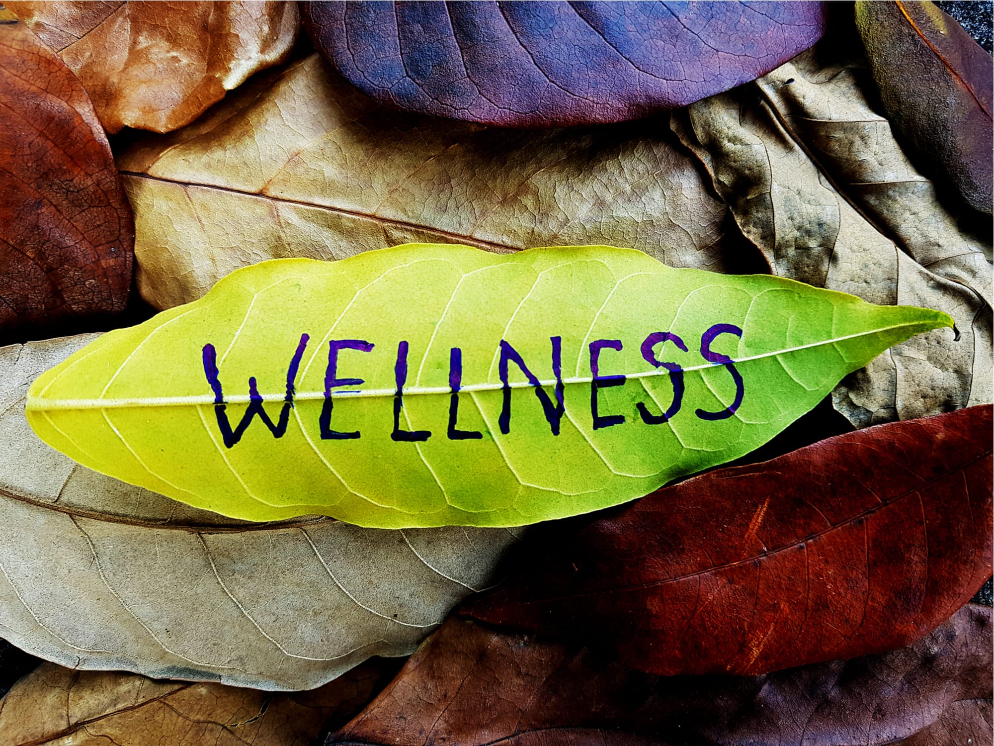 Well being Archives - Mindfulness Valley